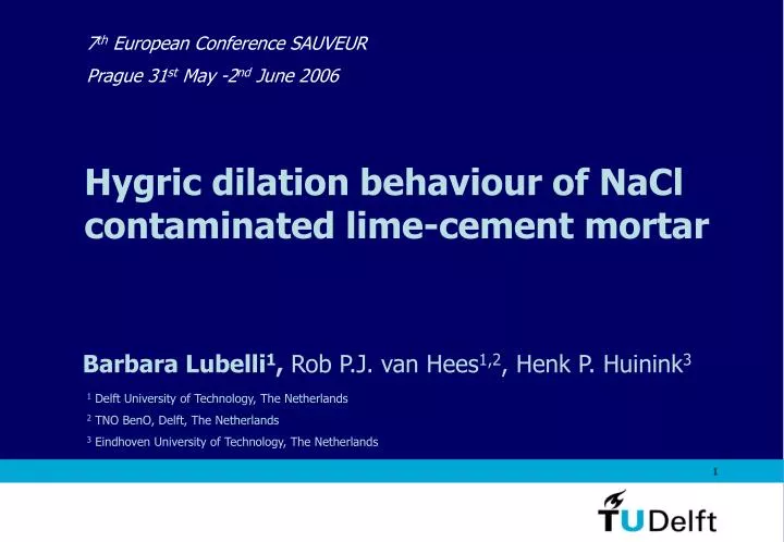hygric dilation behaviour of nacl contaminated lime cement mortar