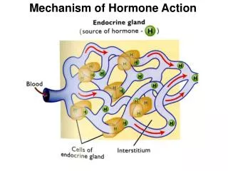 Mechanism of Hormone Action