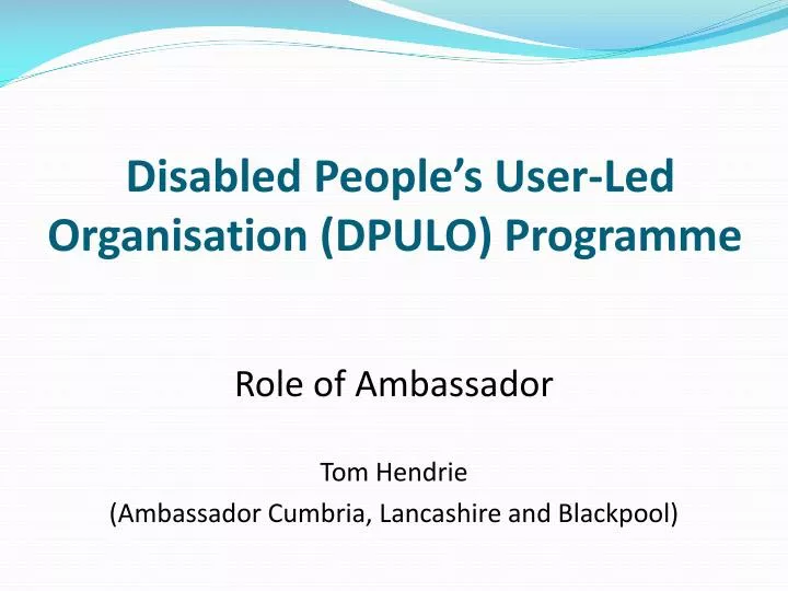 disabled people s user led organisation dpulo programme