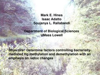 Objective: Determine factors controlling bacterially-mediated Hg methylation and demethylation with an emphasis on redo