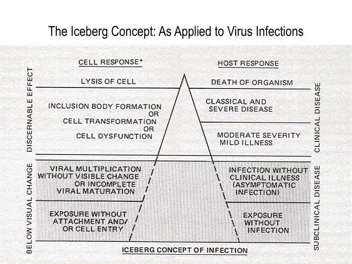 the iceberg concept as applied to virus infections