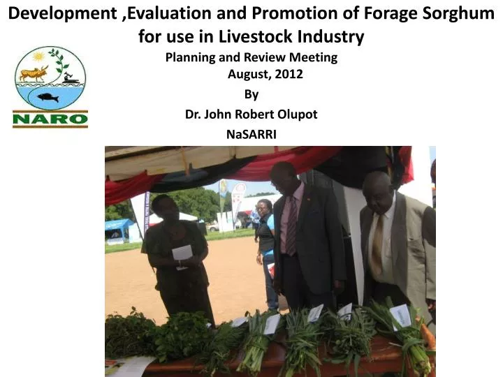 development evaluation and promotion of forage sorghum for use in livestock industry