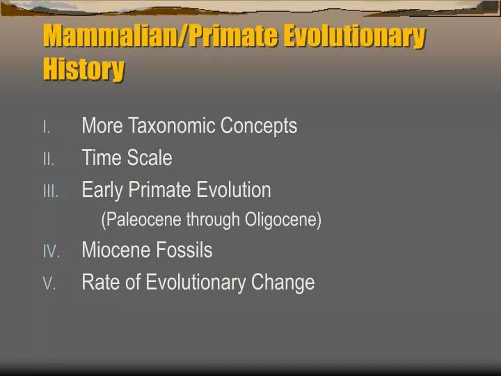 mammalian primate evolutionary history