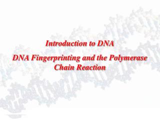 Introduction to DNA DNA Fingerprinting and the Polymerase Chain Reaction