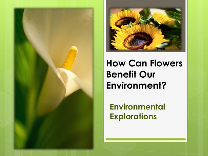 how can flowers benefit our environment
