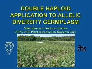 Double Haploid Application to Allelic Diversity Germplasm