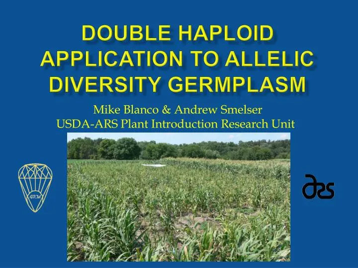 double haploid application to allelic diversity germplasm