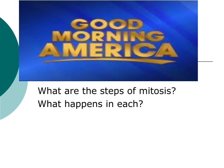 what are the steps of mitosis what happens in each