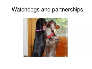 Watchdogs and partnerships