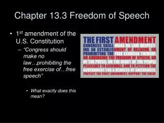 Chapter 13.3 Freedom of Speech