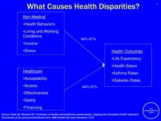 What Causes Health Disparities?
