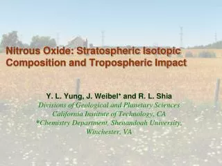 Nitrous Oxide: Stratospheric Isotopic Composition and Tropospheric Impact