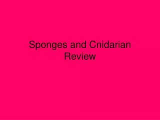 Sponges and Cnidarian Review