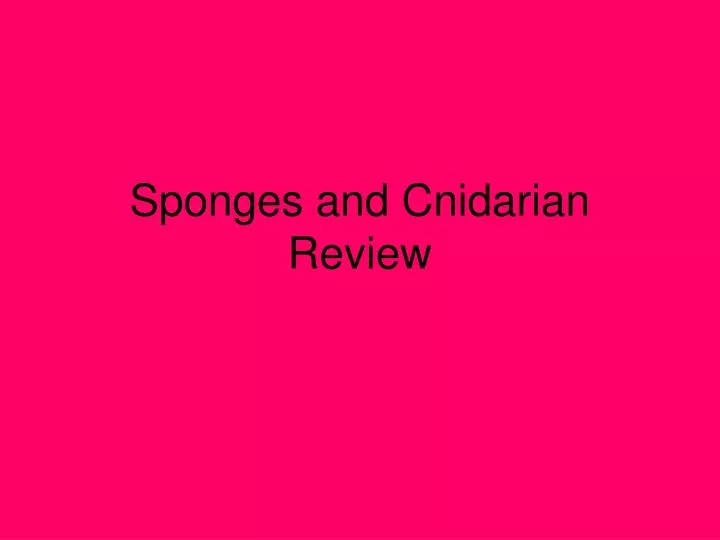 sponges and cnidarian review