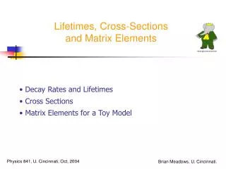 Lifetimes, Cross-Sections and Matrix Elements