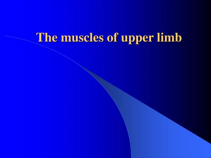 the muscles of upper limb
