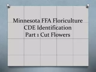 Minnesota FFA Floriculture CDE Identification Part 1 Cut Flowers