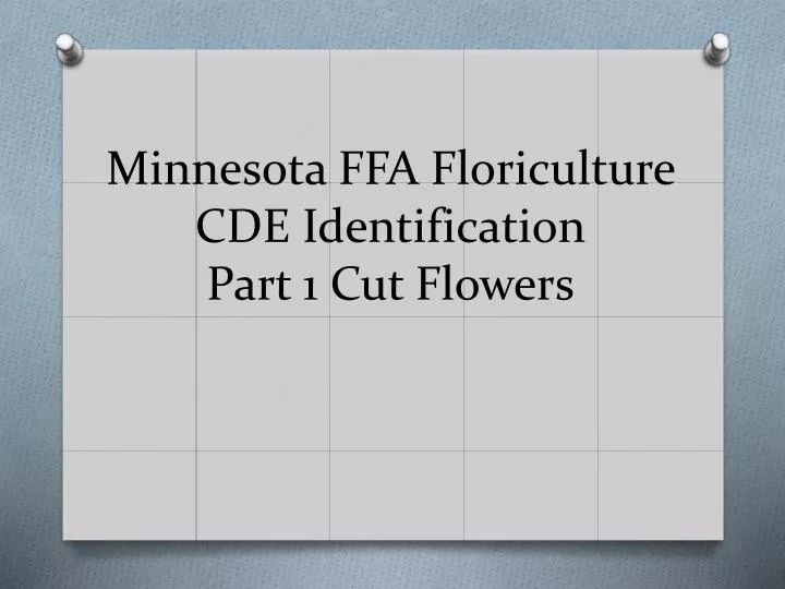 minnesota ffa floriculture cde identification part 1 cut flowers