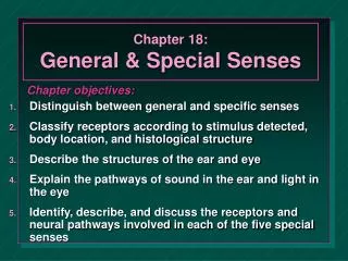 Chapter 18: General &amp; Special Senses