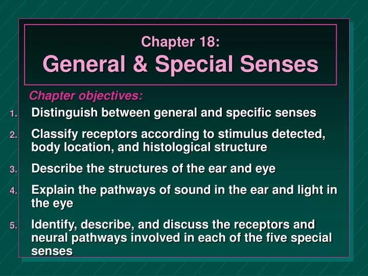 chapter 18 general special senses