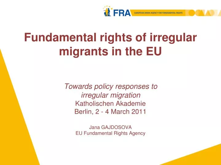fundamental rights of irregular migrants in the e u