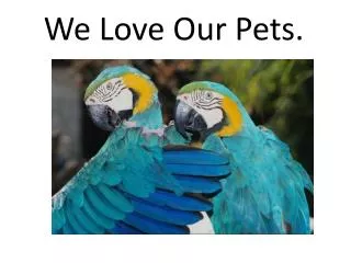 We Love Our Pets.
