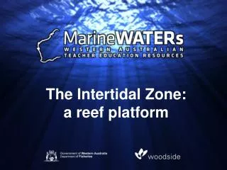 The Intertidal Zone: a reef platform
