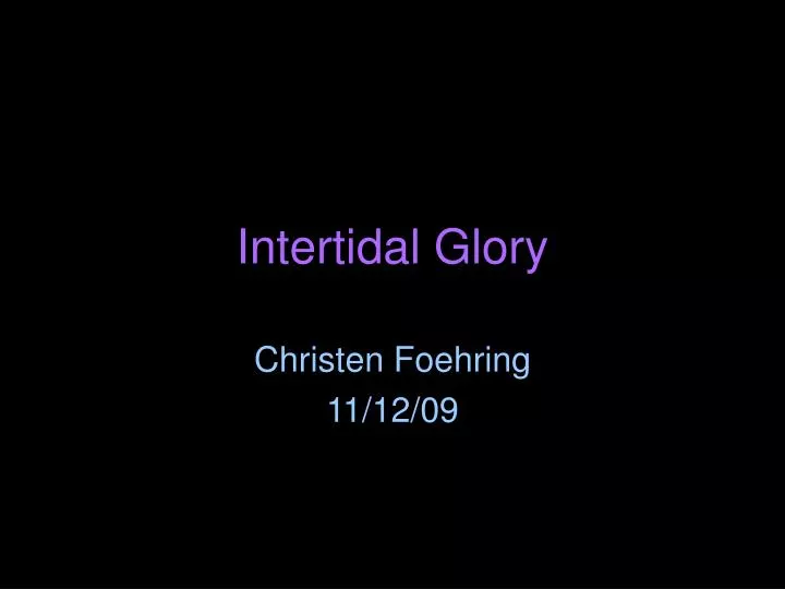 intertidal glory