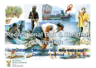 Recreational Bait &amp; Shellfish Collection