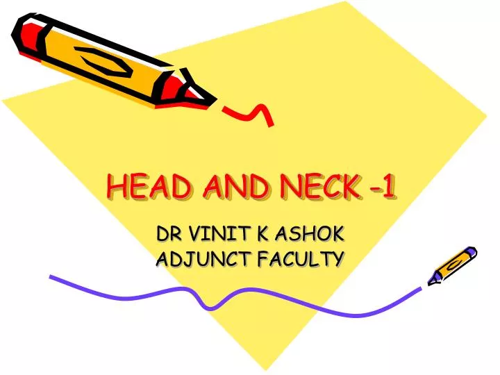 head and neck 1