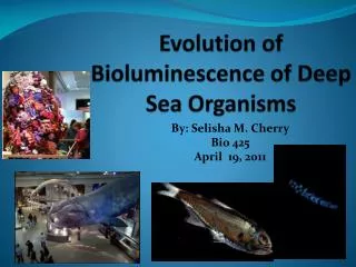 Evolution of Bioluminescence of Deep Sea Organisms