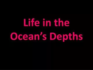 Life in the Ocean’s Depths