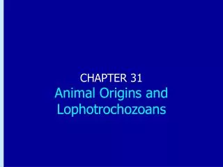CHAPTER 31 Animal Origins and Lophotrochozoans