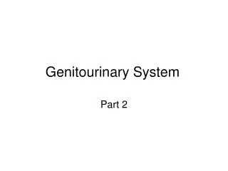 Genitourinary System