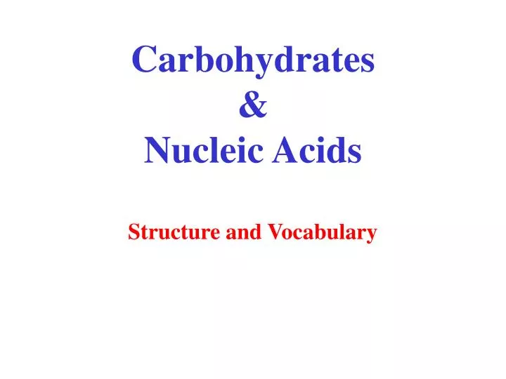 carbohydrates nucleic acids