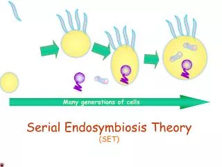 Serial Endosymbiosis Theory (SET)