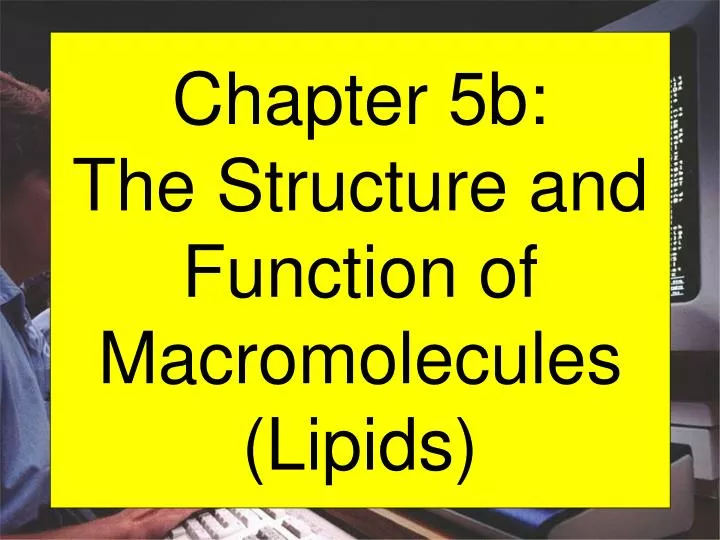 chapter 5b the structure and function of macromolecules lipids
