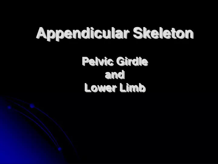 appendicular skeleton pelvic girdle and lower limb