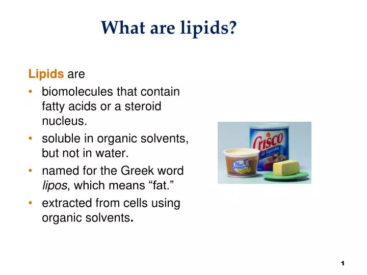 what are lipids