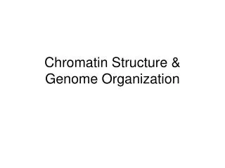 Chromatin Structure &amp; Genome Organization