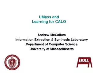 UMass and Learning for CALO