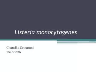 listeria monocytogenes