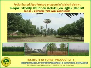 Poplar based Agroforestry program in Vaishali district ßleqnk; vk/kkfjr lefUor ou izcU/ku ,oa laj{k.k ;kstukÞ POPLAR -