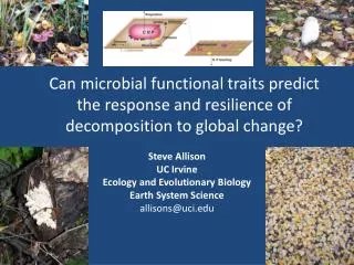 Can microbial functional traits predict the response and resilience of decomposition to global change?