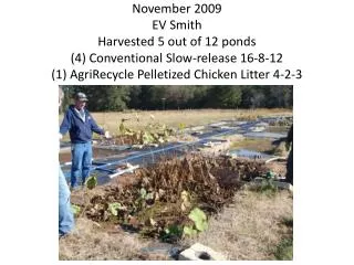 November 2009 EV Smith Harvested 5 out of 12 ponds (4) Conventional Slow-release 16-8-12 (1) AgriRecycle Pelletized Chic