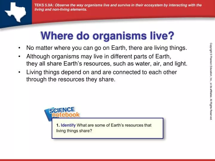 where do organisms live