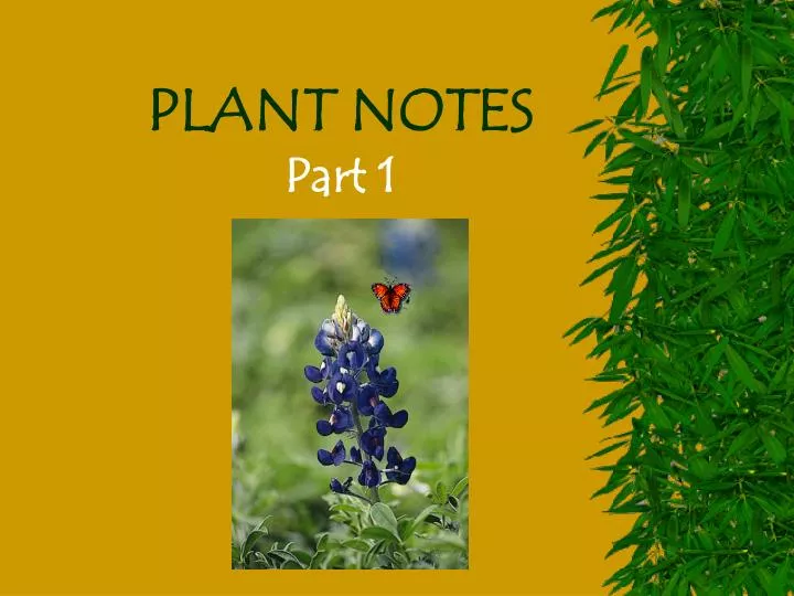 plant notes part 1