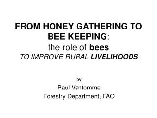 FROM HONEY GATHERING TO BEE KEEPING : the role of bees TO IMPROVE RURAL LIVELIHOODS