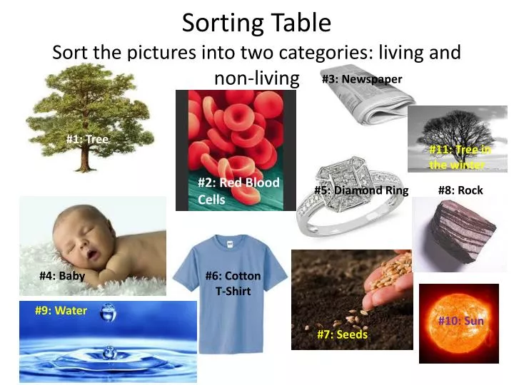 sorting table sort the pictures into two categories living and non living