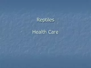 Reptiles Health Care